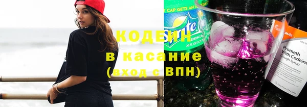 прущие крисы Корсаков