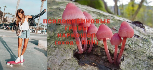 apvp Алексин