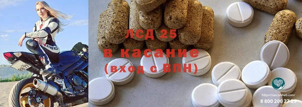 индика Алзамай