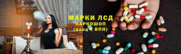 индика Алзамай