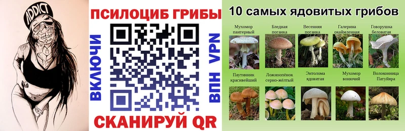 наркошоп Гуково Псилоцибиновые грибы GOLDEN TEACHER