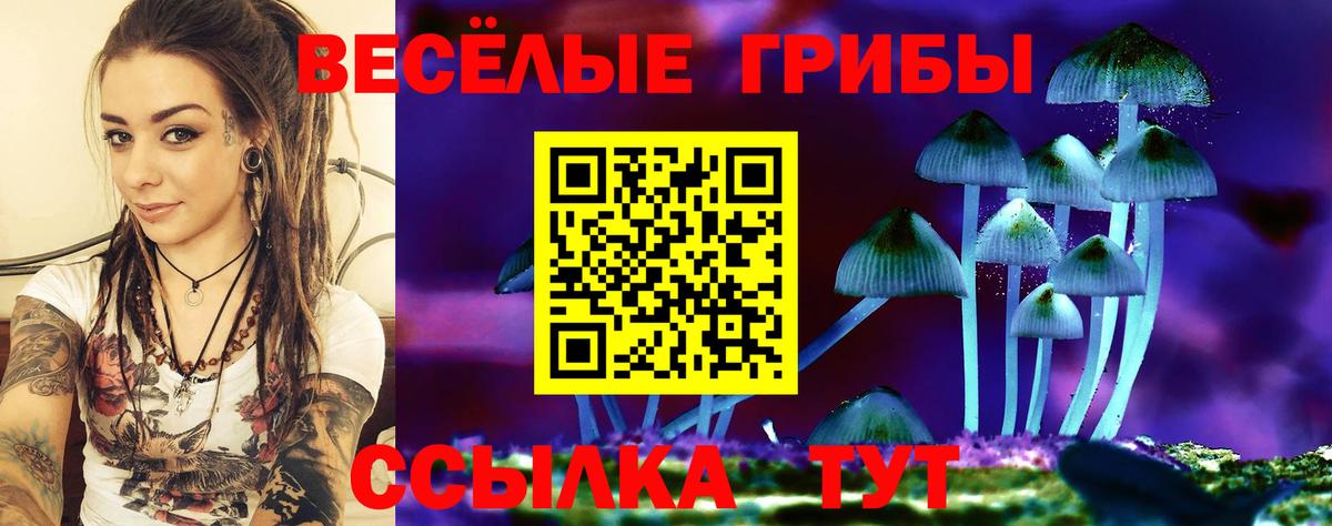 Галлюциногенные грибы Magic Shrooms  Вход с VPN  купить наркотики цена  Гуково  Псилоцибиновые грибы Psilocybine cubensis 