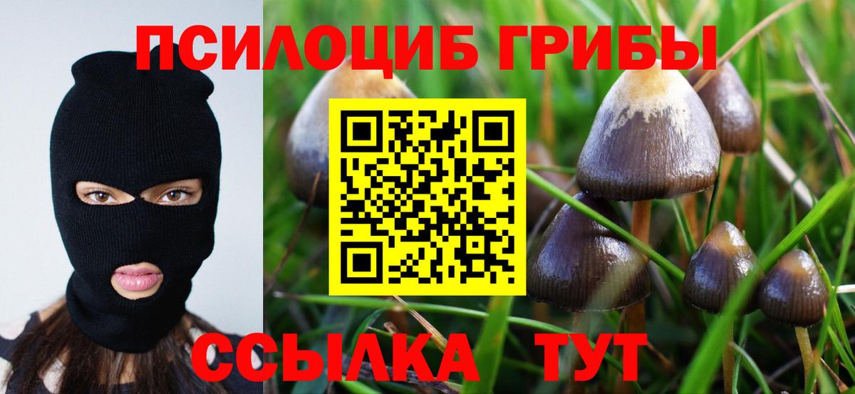 Псилоцибиновые грибы ЛСД Гуково